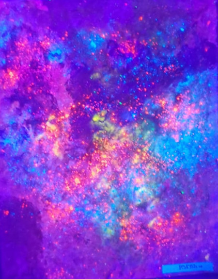 Die fröhliche Fledermaus