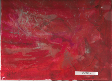 Die geheime Welt der Glühwürmchen