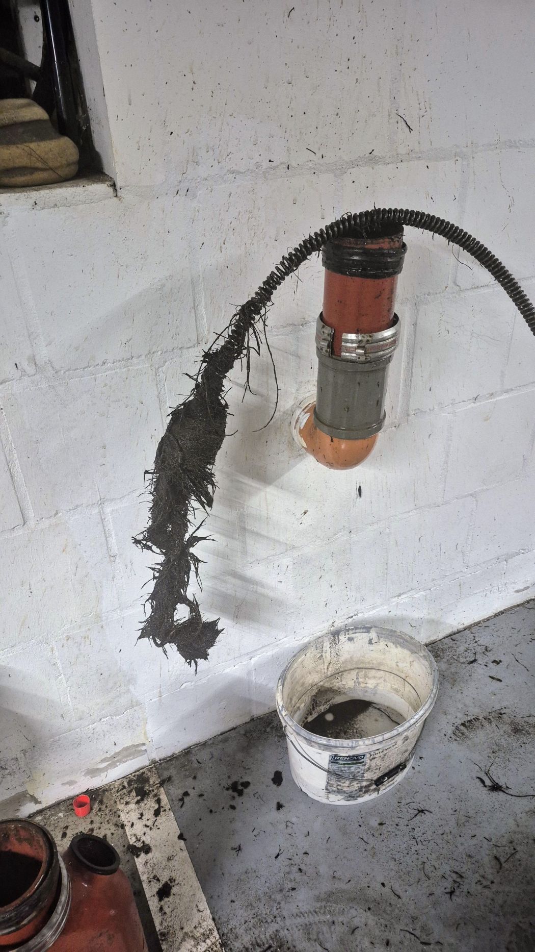 Wurzel in der Grundleitung entfernen