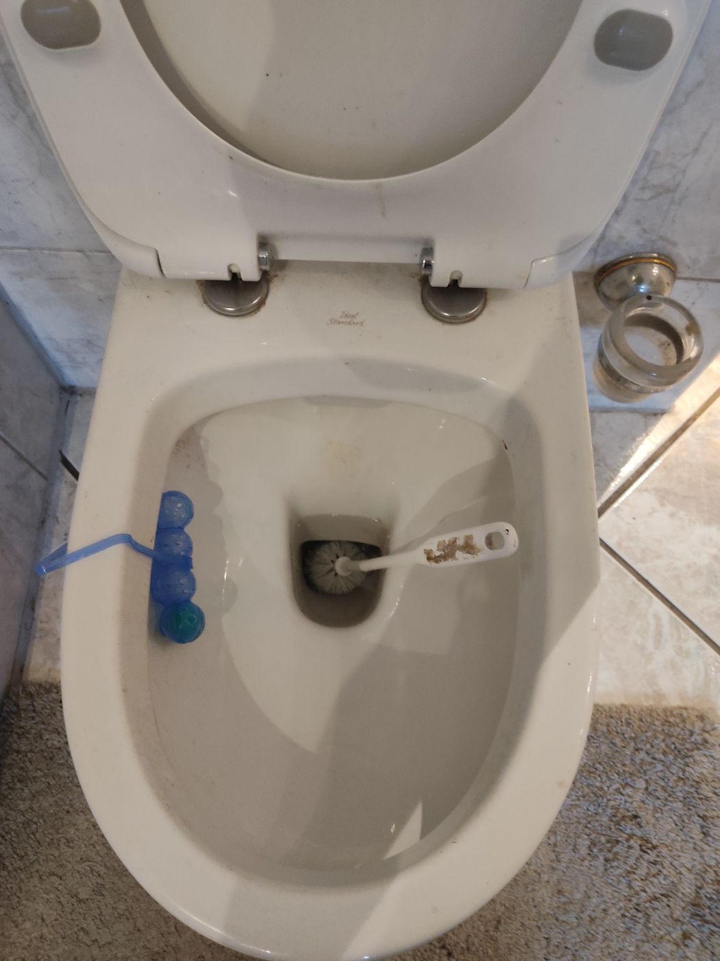 Toilette verstopft und testen ob die Fallleitung Dicht ist